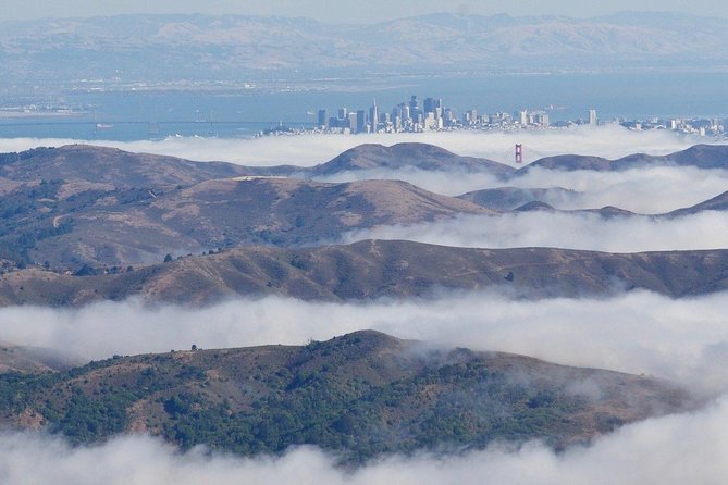 Greater Bay Area Seaplane Tour - Stinson Beach and Crissy Field: coastline meets city edge