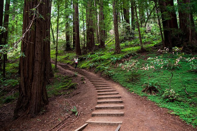 Half-Day Muir Woods & Sausalito Tour with Entry Ticket Included - Key things to know before you go