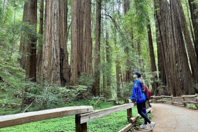 Half-Day Muir Woods & Sausalito Tour with Entry Ticket Included - Golden Gate Bridge North Vista Point: what that 15 minutes gets you