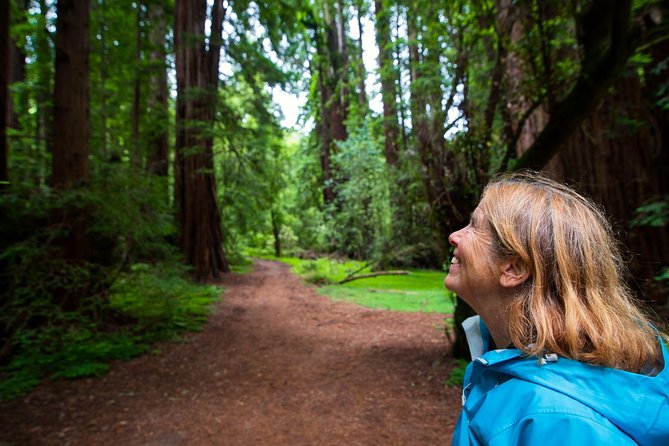 Half-Day Muir Woods & Sausalito Tour with Entry Ticket Included - Sausalito in one hour: waterfront views, shipyard history, and lunch timing