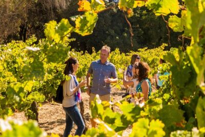 Half-Day Wine Country Tour from San Francisco - Two valleys, two wineries: what the “half-day” really means