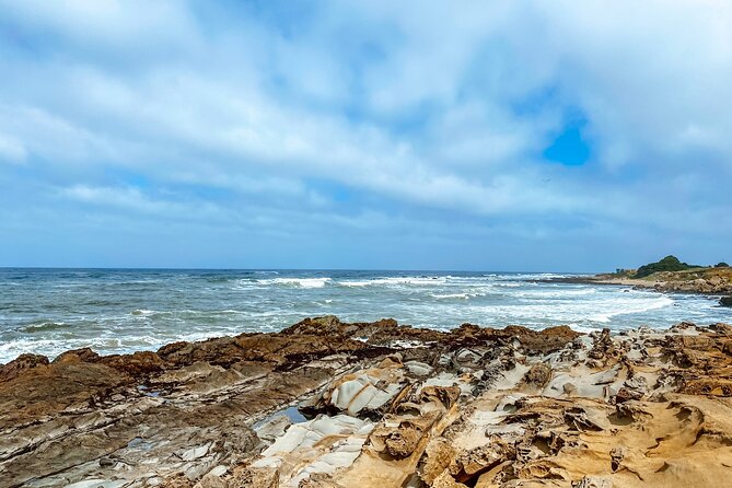 Highway 1 Pacific Coast Highway Self-Guided Driving Tour Bundle - Should you book this Highway 1 Highway 1 audio tour?