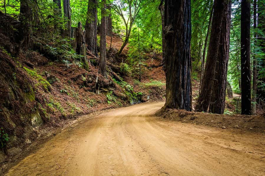 Monterey, Carmel, 17 Mile Dr, Big Sur & Mcway Falls Pvt Tour - Pebble Beach and Lone Cypress: where the views come with iconic details