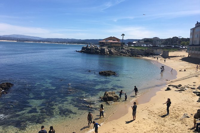 Monterey, Carmel and 17-Mile Drive: Full Day Tour from SF - Leaving San Francisco: When the Coast Starts Feeling Real