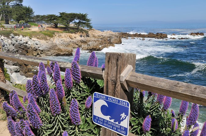 Monterey, Carmel and 17-Mile Drive: Full Day Tour from SF - The Real Math of Price: Is $125.10 a Deal?