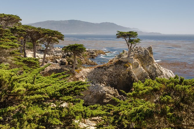 Monterey, Carmel and 17-Mile Drive: Full Day Tour from SF - Who This Tour Fits Best (and Who Should Skip It)