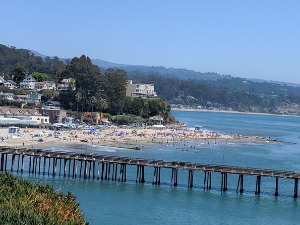 Monterey, Carmel and Big Sur private Day Trip from San Francisco - Pacific Grove Oceanview Boulevard: The Easy First Hit of the Ragged Coast