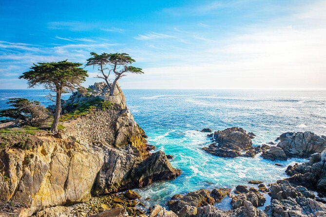 Monterey Peninsula, Carmel, 17-Mile Drive Max 12 Small Group Tour - Key highlights worth planning around