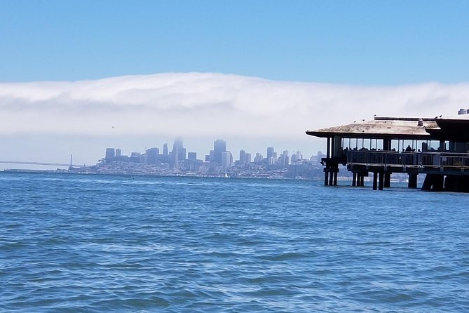 Muir Woods and Sausalito Afternoon Tour Small-Group Half-Day - Marin County Scenic Drive: Richardson Bay Views and Mount Tamalpais