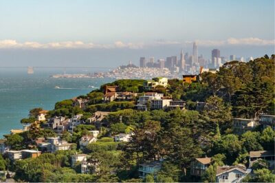 Muir Woods and Sausalito Half Day Tour - Muir Woods: 90 Minutes of Redwoods and How to Use It
