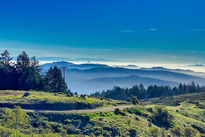 Muir Woods and Sausalito Half Day Tour - What You Get for $95: Value for a Half-Day That Doesn’t Waste Time