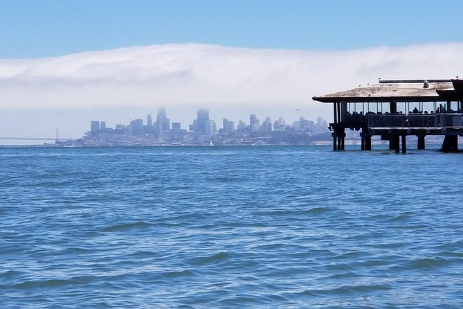 Muir Woods and Sausalito Morning Tour Small-Group Half Day - Why the 8:00 am Tour Feels Different