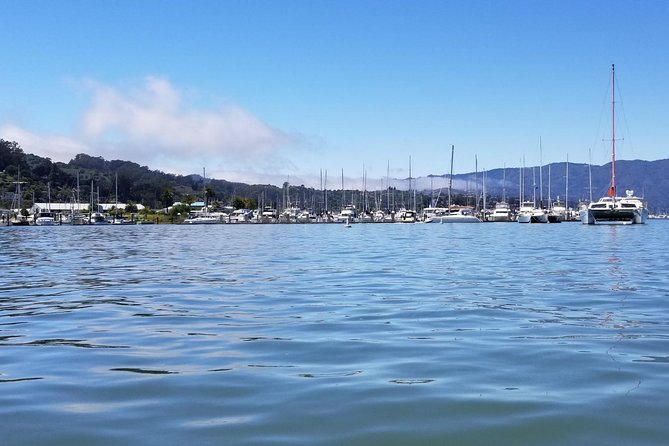 Muir Woods and Sausalito Morning Tour Small-Group Half Day - Sausalito Boardwalk: Waterfront Reset With Lunch Options