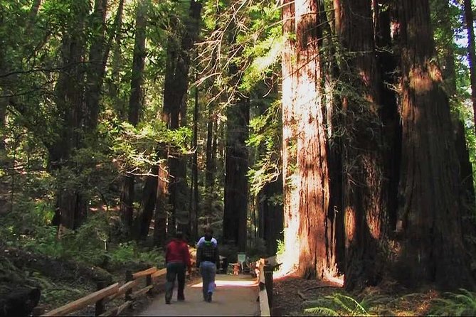 Muir Woods and Sausalito Morning Tour Small-Group Half Day - Pickup Rules You Should Know Before You Book