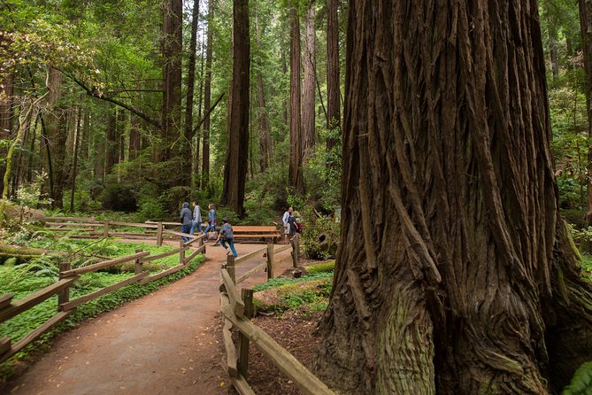 Muir Woods and Sausalito (Return by Bus or Ferry) - Where you start: Union Square vs Fisherman’s Wharf
