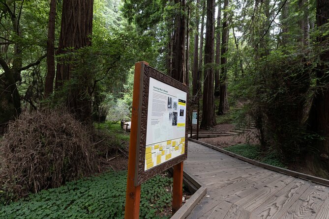 Muir Woods and Sausalito Tour Entrance Fee Included - Sausalito Boardwalk Hour: Bay Views, Seafood Choices, and WWII-Era Shoreline Stories
