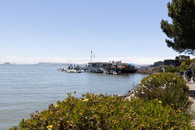 Muir Woods and Sausalito Tour Entrance Fee Included - Palace of Fine Arts, Presidio Views, and the Story Stops You’ll Remember
