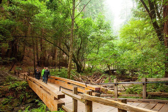 Muir Woods and Sausalito Tour Plus Bay Cruise - A Smooth San Francisco Day: Golden Gate Bridge to Pier 39