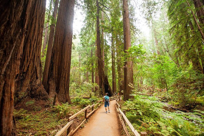 Muir Woods and Sausalito Tour Plus Bay Cruise - Group Size, Comfort, and What to Watch on a Bus Day