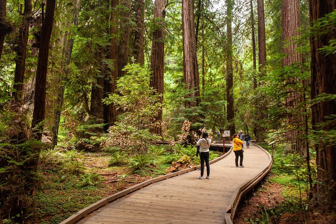 Muir Woods and Sausalito Tour Plus Bay Cruise - Getting the Timing Right: Order Changes and Weather Reality