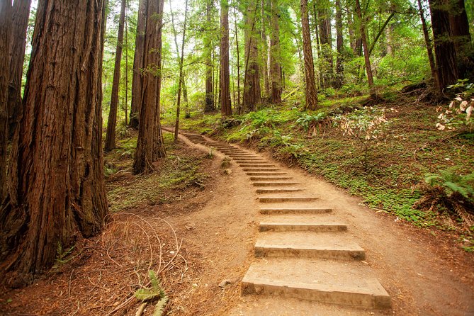 Muir Woods and Sausalito Tour Plus Bay Cruise - Muir Woods: 90 Minutes in the Coastal Redwoods