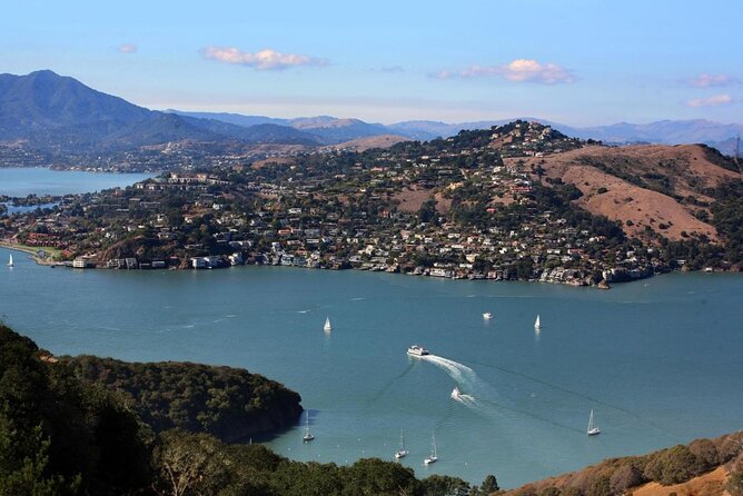 Muir Woods, Sausalito and Tiburon Day Trip from San Francisco - How the guides change the whole day