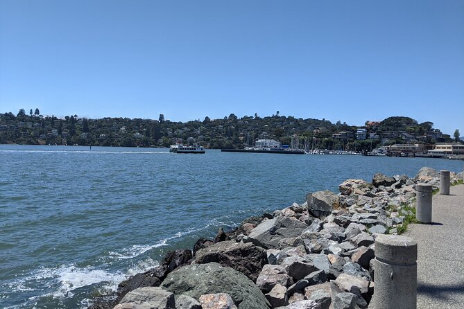 Muir Woods, Sausalito and Tiburon Day Trip from San Francisco - Price and value: what $453.34 gets you for up to 4