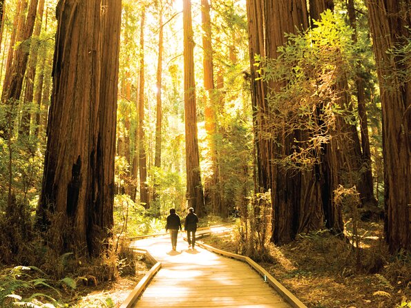 Muir Woods & Sausalito Tour - Golden Gate Bridge Crossing: Big Views Without Extra Planning