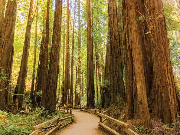 Muir Woods & Sausalito Tour - Return by Ferry: Your Best Way to Extend the Day
