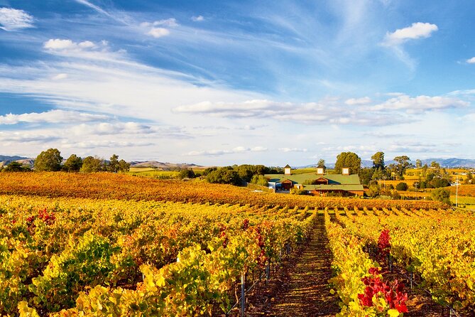 Muir Woods & Wine Tour: Redwoods & Tastings at 3 Wineries - Sonoma Plaza Lunch Break and Optional Stops
