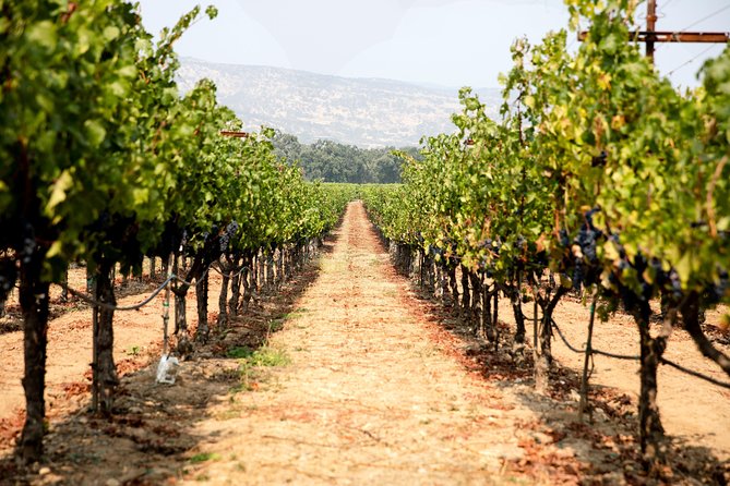 Napa and Sonoma Wine Country Full-Day Tour from San Francisco - From San Francisco to Wine Country: the bridge part you can’t skip