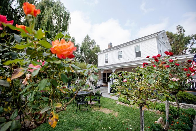 Napa and Sonoma Wine Country Full-Day Tour from San Francisco - Sonoma Plaza lunch break: your hour to reset