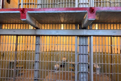 Official Alcatraz Island Prison Tour and San Francisco Bay Cruise - The Audio Tour (45 Minutes): How to Get More From the Headphones