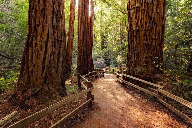 Private Muir Woods Tour + Golden Gate Bridge Stops (3 Hrs, Max 6) - Key things that make this tour worth your time