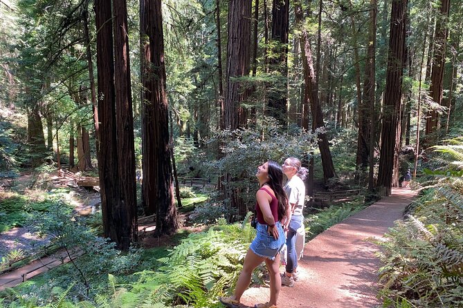Private Muir Woods Tour + Golden Gate Bridge Stops (3 Hrs, Max 6) - Muir Beach or the overlook, plus Marin Headlands for the Pacific side