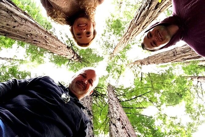 Private Muir Woods Tour + Golden Gate Bridge Stops (3 Hrs, Max 6) - Who this tour fits best (and who might want to adjust expectations)