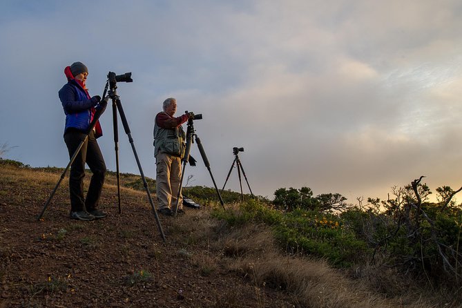 Private San Francisco Sunset Photography Experience - Why a private sunset photo guide beats hunting on your own