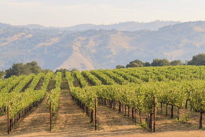 Russian River Weekend Wine Tasting & Gourmet Lunch - Sonoma and the return drive: you’ll be back early enough to plan dinner