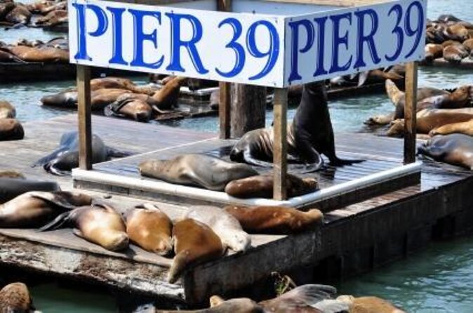 San Francisco - 7D Ride Experience at PIER 39 - DarkRide 7D at Pier 39: what you’re really buying