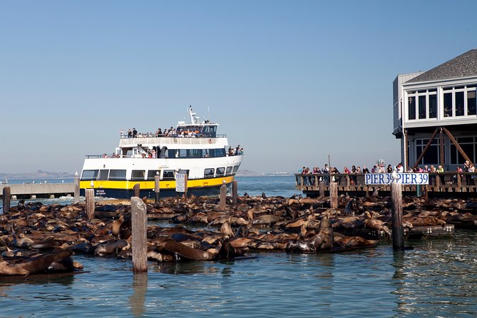 San Francisco Bay Cruise - Why this 1-hour Bay Cruise feels like a smart SF “anchor”