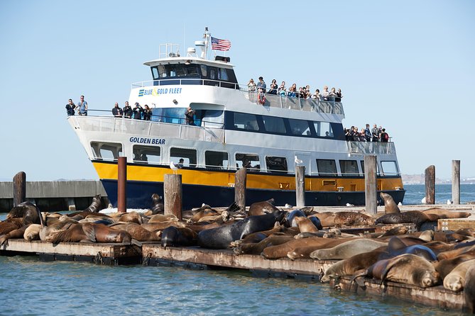 San Francisco Bay Cruise - Using the Wi‑Fi audio tour so landmarks don’t stay vague