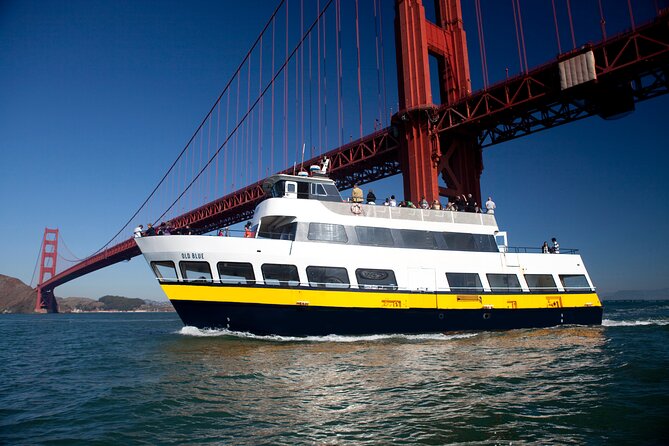 San Francisco Bay Cruise & Double Decker Night Tour - The double-decker night tour: how to ride for the best views