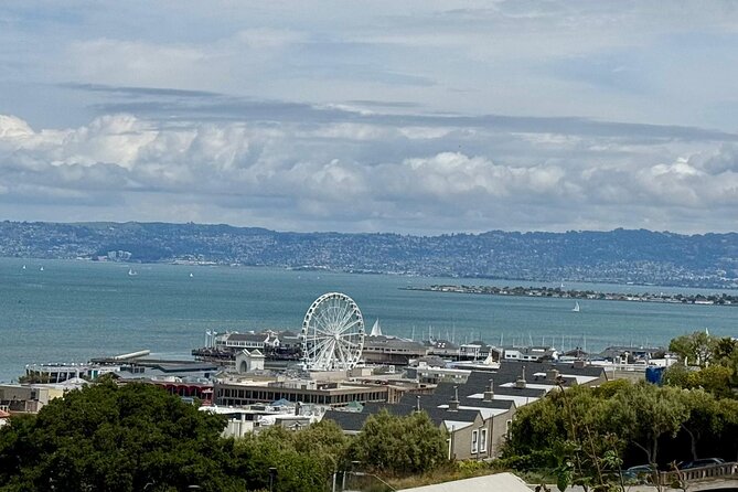 San Francisco City Tour in EV Volkswagen Van - Palace of Fine Arts and Golden Gate Bridge: Icons With Built-In Context