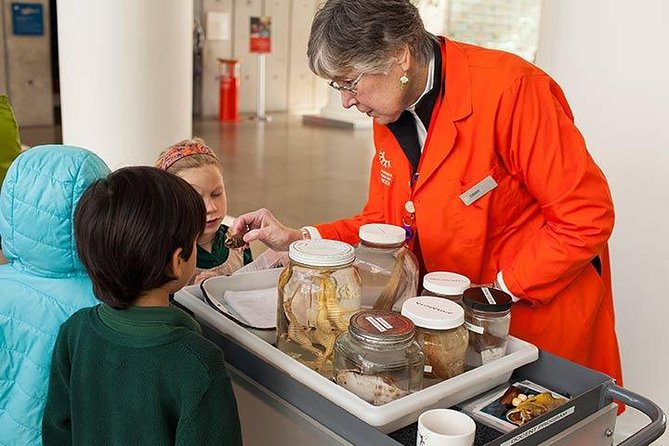 San Francisco CityPASS® - California Academy of Sciences: the science stop that makes the pass feel worth it