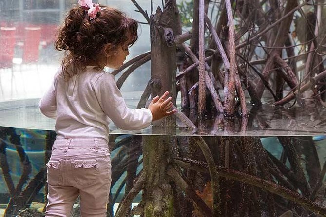 San Francisco CityPASS® - Your two-choice picks: Aquarium, Exploratorium, Zoo, SFMOMA, or Disney
