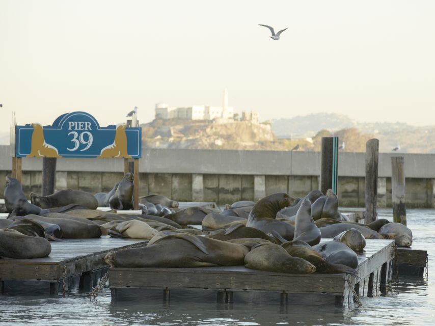 San Francisco CityPASS®: Save 46% at 4 Top Attractions - What you get: the 4 attractions and how admission is handled