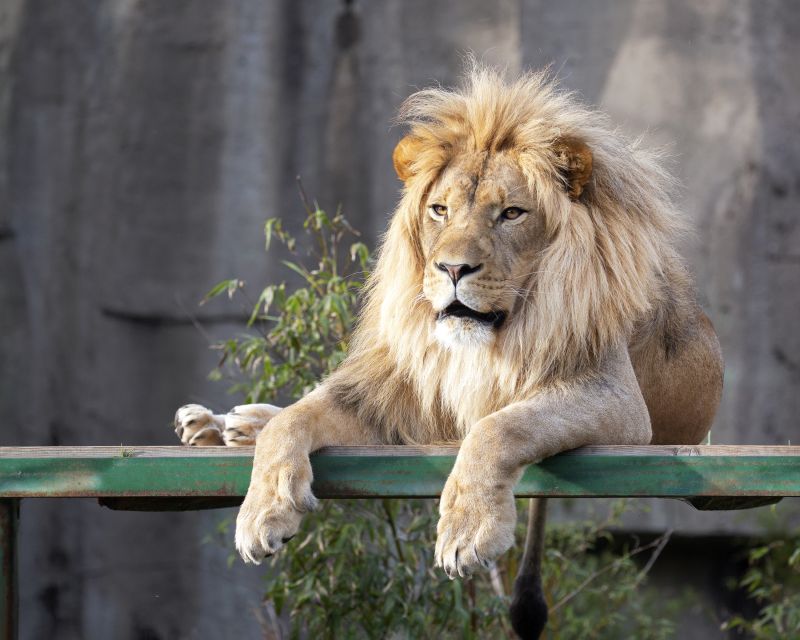 San Francisco CityPASS®: Save 46% at 4 Top Attractions - Price and value: is $89 actually a deal for you?