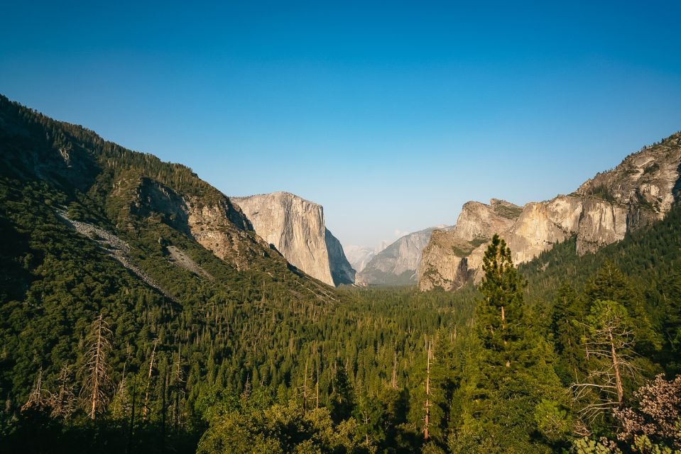San Francisco: Day Trip to Yosemite with Giant Sequoias Hike - Tuolumne Grove of Giant Sequoias: the hike that sets the tone