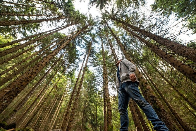 San Francisco: Full Day Coastal Redwoods & Wine Country Tour - Fisherman’s Wharf for a quick sea-breeze reset