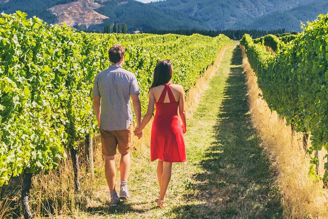 San Francisco: Full Day Coastal Redwoods & Wine Country Tour - Start at Big Bus Tours and get oriented fast